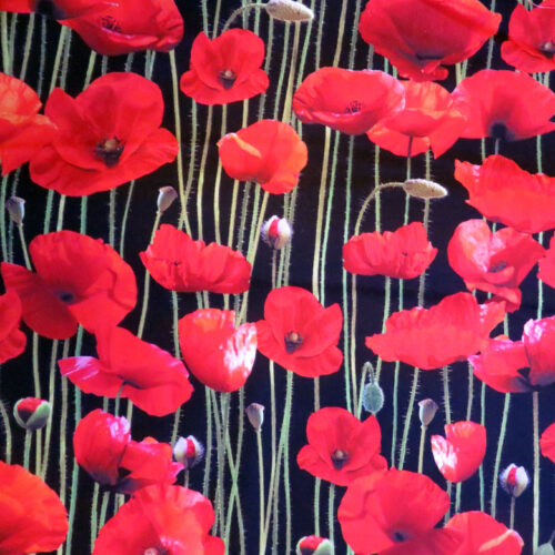 Poppies Wideback Fabric